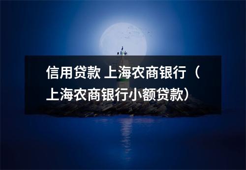 信用贷款 上海农商银行（上海农商银行小额贷款）