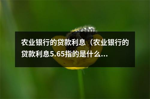农业银行的贷款利息（农业银行的贷款利息5.65指的是什么）