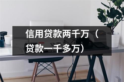 信用贷款两千万（贷款一千多万）