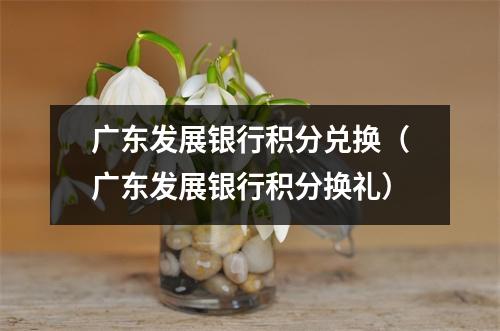 广东发展银行积分兑换（广东发展银行积分换礼）