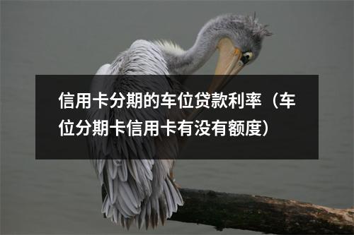信用卡分期的车位贷款利率（车位分期卡信用卡有没有额度）