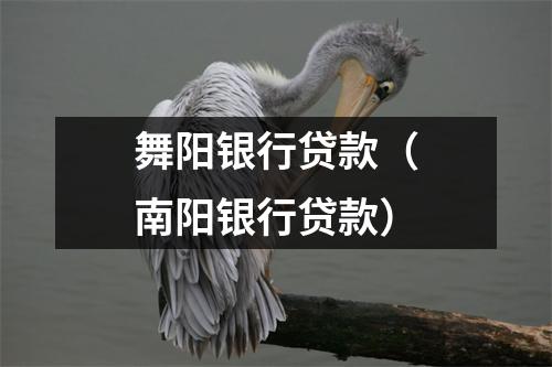 舞阳银行贷款（南阳银行贷款）