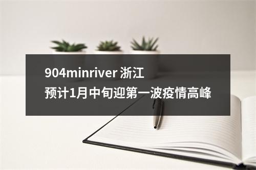904minriver 浙江预计1月中旬迎第一波疫情高峰