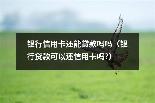 银行信用卡还能贷款吗吗（银行贷款可以还信用卡吗?）