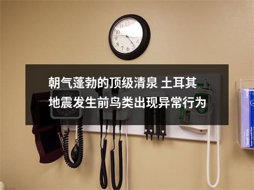 朝气蓬勃的顶级清泉 土耳其地震发生前鸟类出现异常行为