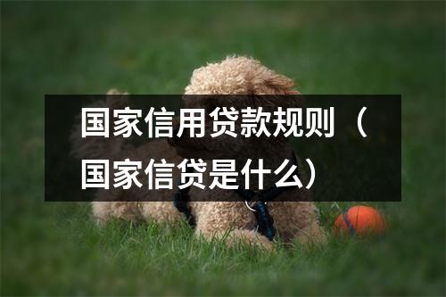 国家信用贷款规则（国家信贷是什么）