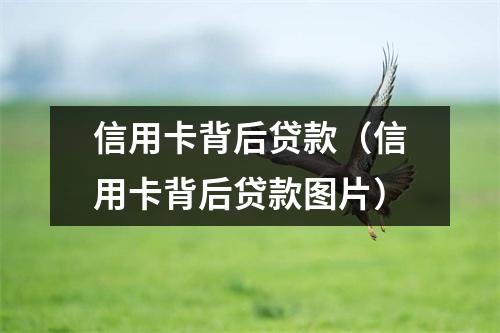 信用卡背后贷款（信用卡背后贷款图片）