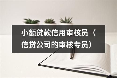 小额贷款信用审核员（信贷公司的审核专员）