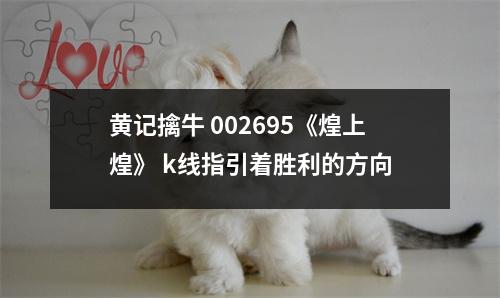 黄记擒牛 002695《煌上煌》 k线指引着胜利的方向