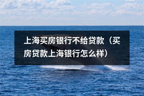 上海买房银行不给贷款（买房贷款上海银行怎么样）