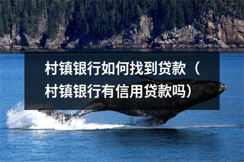 村镇银行如何找到贷款（村镇银行有信用贷款吗）