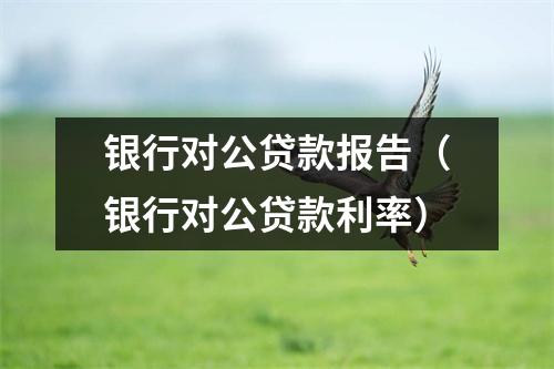 银行对公贷款报告（银行对公贷款利率）