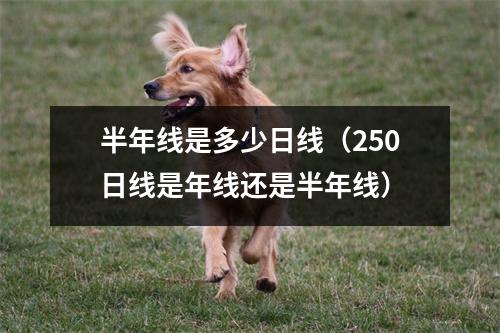 半年线是多少日线（250日线是年线还是半年线）