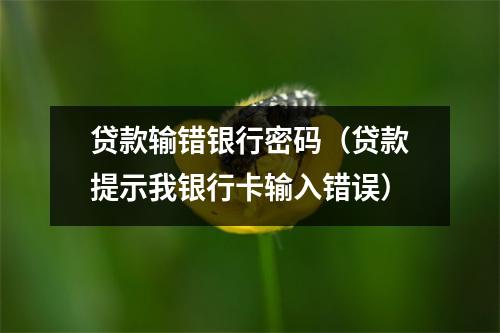 贷款输错银行密码（贷款提示我银行卡输入错误）