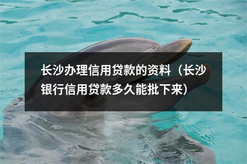 长沙办理信用贷款的资料（长沙银行信用贷款多久能批下来）
