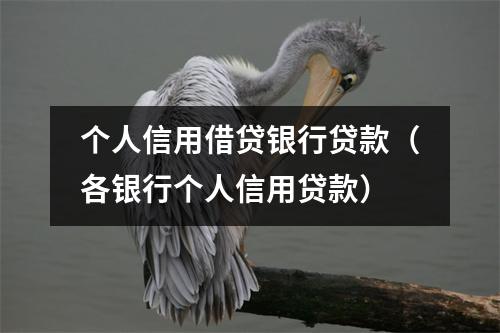 个人信用借贷银行贷款(各银行个人信用贷款)