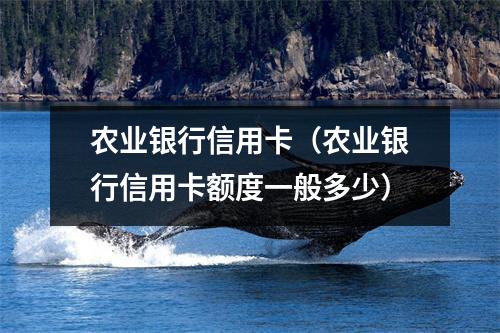 农业银行信用卡（农业银行信用卡额度一般多少）