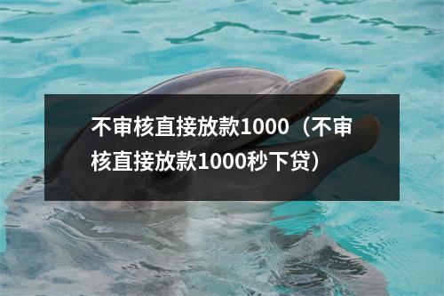 不审核直接放款1000（不审核直接放款1000秒下贷）