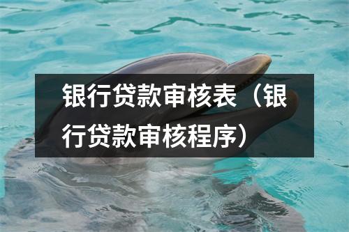 银行贷款审核表（银行贷款审核程序）
