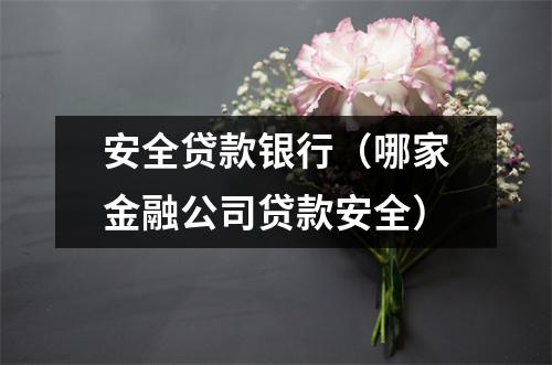 安全贷款银行（哪家金融公司贷款安全）