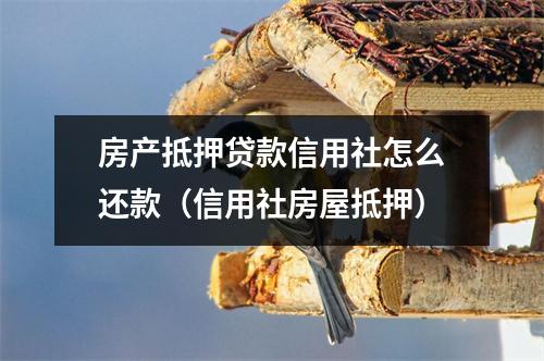 房产抵押贷款信用社怎么还款（信用社房屋抵押）