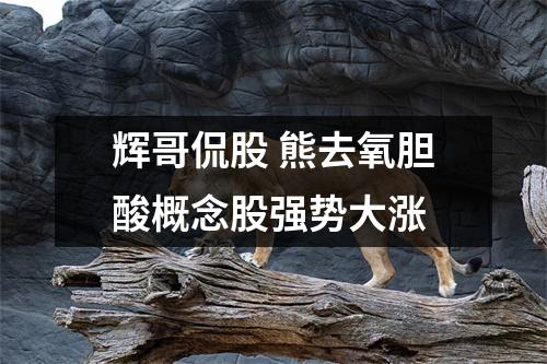 辉哥侃股 熊去氧胆酸概念股强势大涨