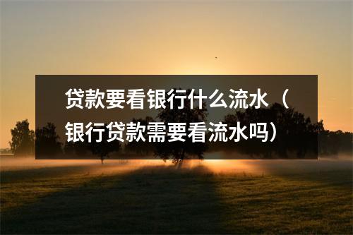 贷款要看银行什么流水(银行贷款需要看流水吗)