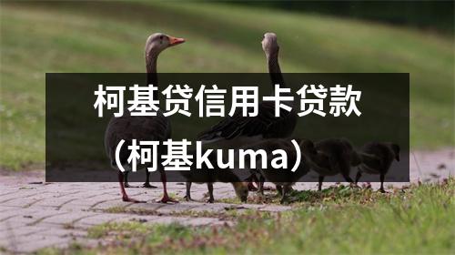 柯基贷信用卡贷款（柯基kuma）