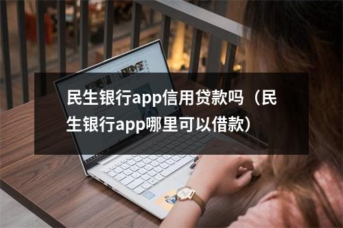 民生银行app信用贷款吗（民生银行app哪里可以借款）