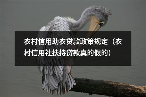 农村信用助农贷款政策规定（农村信用社扶持贷款真的假的）