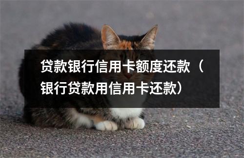 贷款银行信用卡额度还款（银行贷款用信用卡还款）