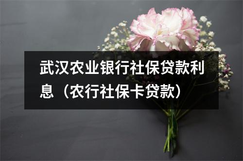 武汉农业银行社保贷款利息（农行社保卡贷款）