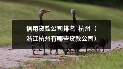信用贷款公司排名 杭州(浙江杭州有哪些贷款公司)