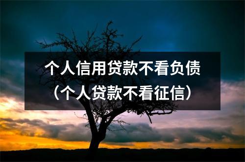 个人信用贷款不看负债（个人贷款不看征信）