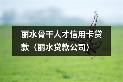 丽水骨干人才信用卡贷款（丽水贷款公司）