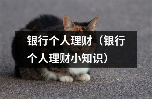 银行个人理财（银行个人理财小知识）