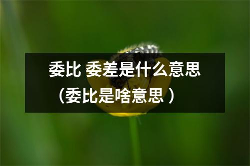 委比 委差是什么意思（委比是啥意思 ）