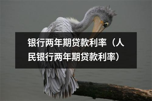 银行两年期贷款利率（人民银行两年期贷款利率）