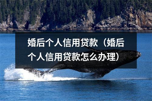 婚后个人信用贷款(婚后个人信用贷款怎么办理)
