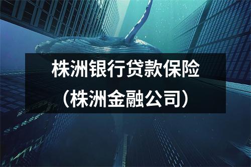 株洲银行贷款保险(株洲金融公司)