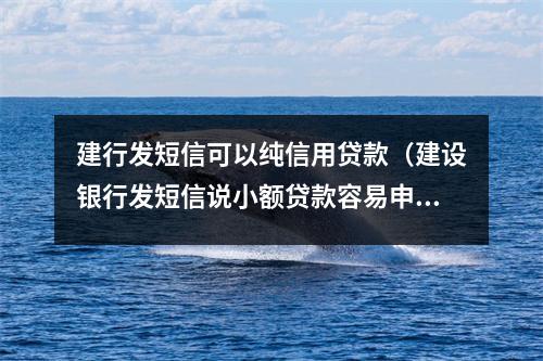 建行发短信可以纯信用贷款（建设银行发短信说小额贷款容易申请通过吗）