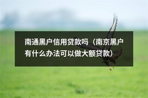 南通黑户信用贷款吗(南京黑户有什么办法可以做大额贷款)