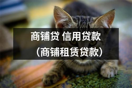 商铺贷 信用贷款(商铺租赁贷款)