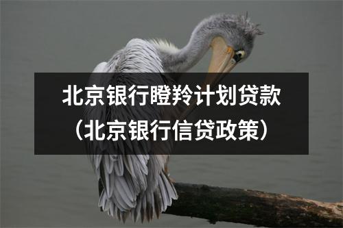北京银行瞪羚计划贷款（北京银行信贷政策）