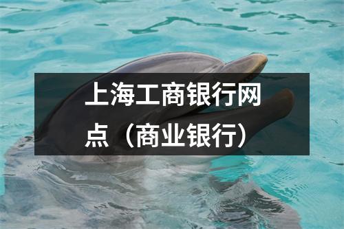 上海工商银行网点(商业银行)