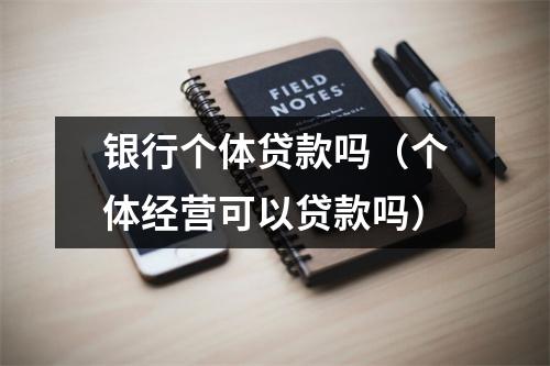 银行个体贷款吗(个体经营可以贷款吗)