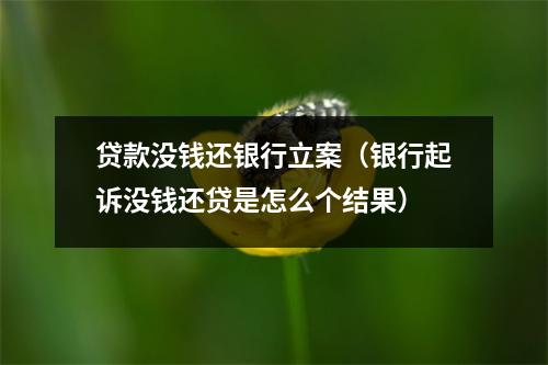贷款没钱还银行立案（银行起诉没钱还贷是怎么个结果）