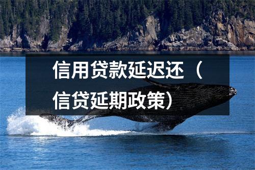 信用贷款延迟还(信贷延期政策)