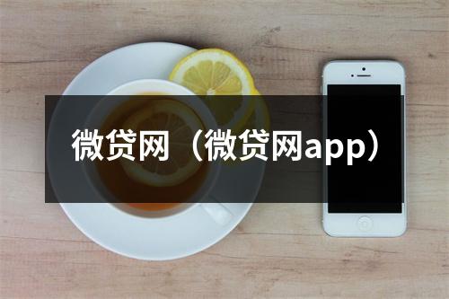 微贷网（微贷网app）