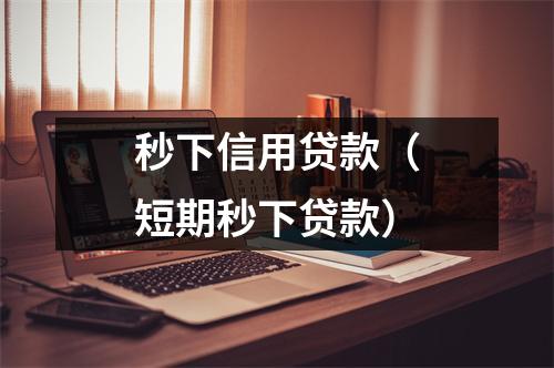 秒下信用贷款（短期秒下贷款）